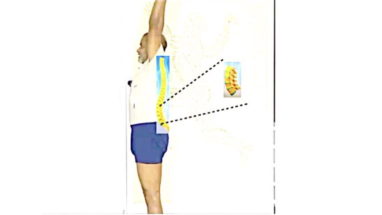 Anatomical Understanding of Lumbar Back – a Gentle Practice to Experience Different Spinal Movements