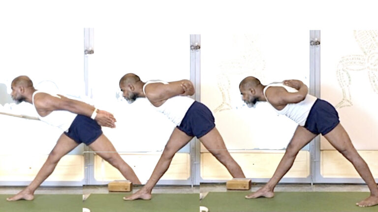 Varied Arm Actions that Lead to Success in Forward Bends and Back Arches