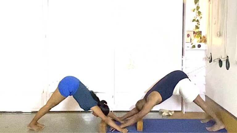 Preparing the whole Body for Effective Seated Forward Extensions (Intermediate Level)