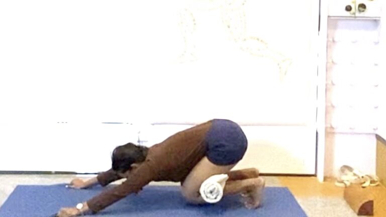 Utkatasana Deep Dive for Experienced Beginners – Healthy Actions for Flat Foot and Varicose Veins