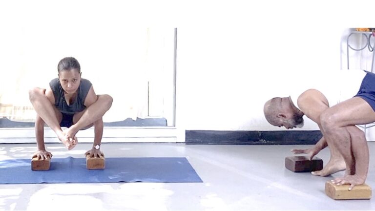 Arm Balancing Short Course (Weekend Intensive) Part 2- Arm balance followed by breath work